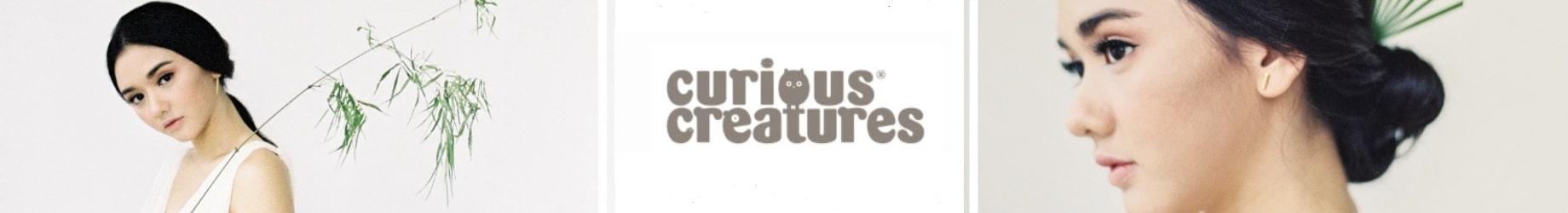 Curious Creatures Curious Creatures