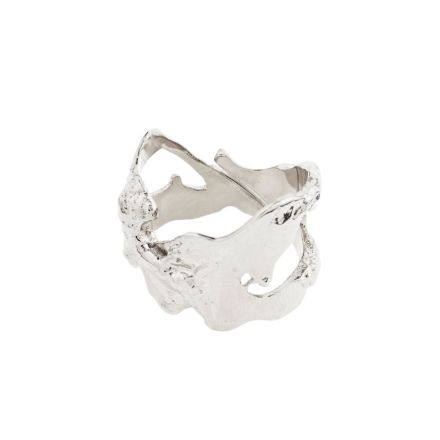 Pilgrim Compass Organic Shaped