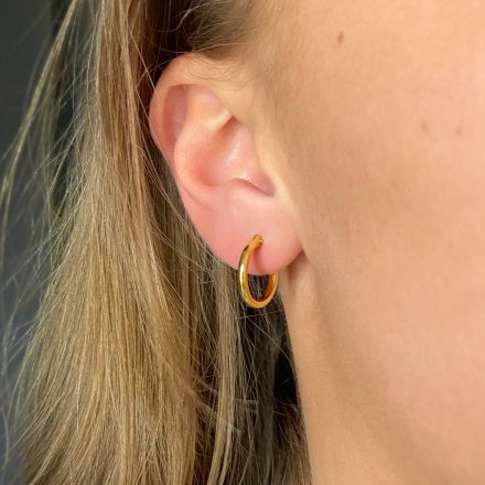 Pico Basic Small Hoop Goldplated