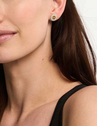 Michael Kors Premium MKC1827710