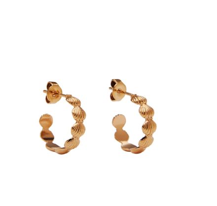 Pico Coquille Studs