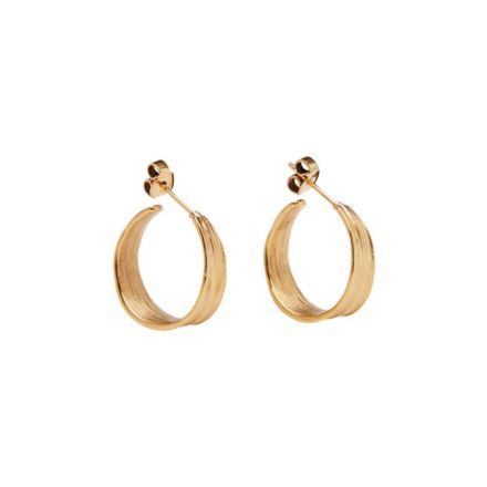 Pico Olive Petit